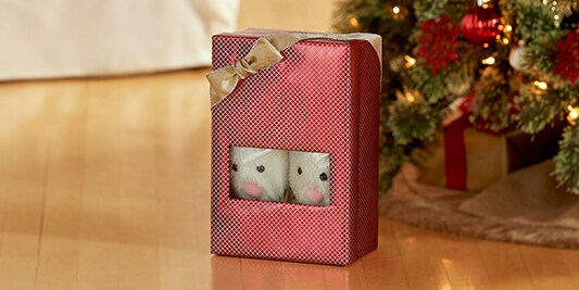 Jack Sneak Peek Gift Box
